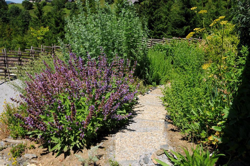 Sulamith Ferienhaus Mit Garten Sankt Kathrein am Offenegg Exteriér fotografie