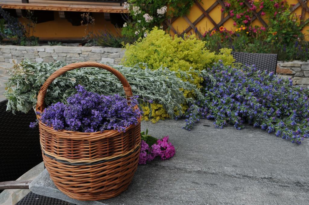 Sulamith Ferienhaus Mit Garten Sankt Kathrein am Offenegg Exteriér fotografie