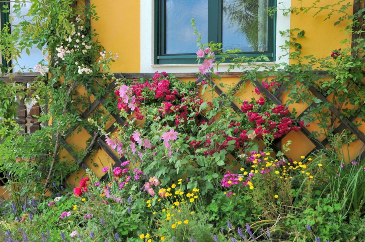 Sulamith Ferienhaus Mit Garten Sankt Kathrein am Offenegg Exteriér fotografie